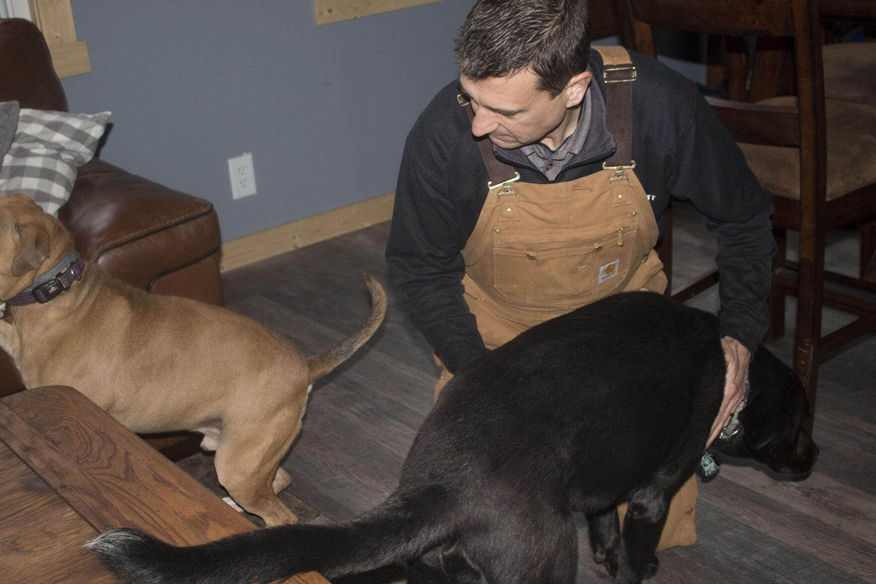 Therapy dogs lend a paw to those in need